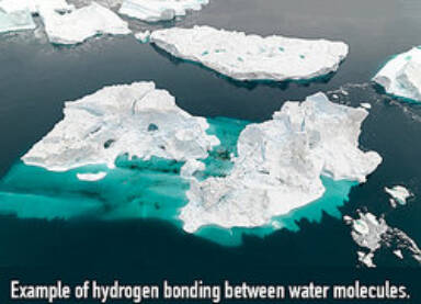Ejemplos de enlaces de hidrógeno en la vida diaria