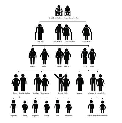 Pictograma de genealogía de árbol genealógico
