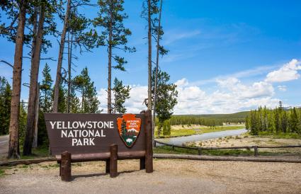 Firmar por el Parque Nacional de Yellowstone.