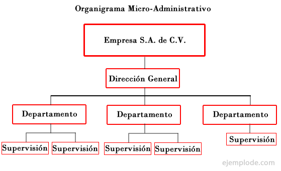 Ejemplo de organigrama microadministrativo