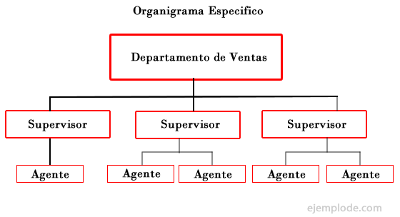 Ejemplo de organigrama específico